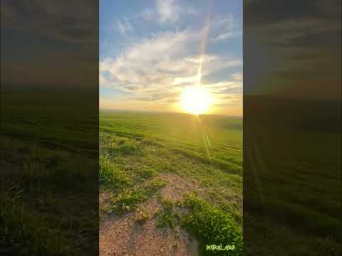 اصاله بعدك عني شغلني كسرني