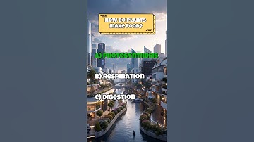 Are You Smarter Than A 3rd Grader?