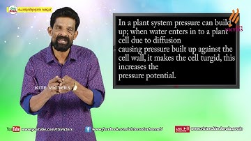 KITE VICTERS Plus One Botany Class 39 (First Bell-ഫസ്റ്റ് ബെല്‍)