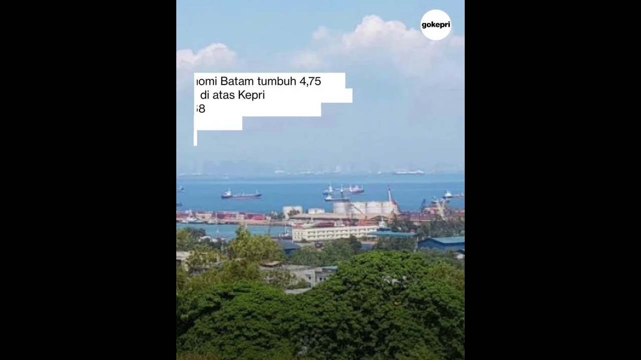 Kepala BP Batam Muhammad Rudi tentang ekonomi Batam