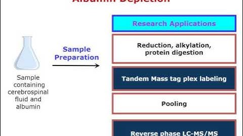 Cerebrospinal Fluid CSF Protein Research And Albumin Depletion Proteomics