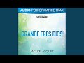 Grande eres Dios [Original Key Trax With Background Vocals]