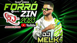 #DJMELK - FORRÓZIN PRA CURTIR NA FOLÍA - FEVEREIRO 2023 - LENHADA NO PAREDÃO - ( RJ CDs &amp; DJ MELK )