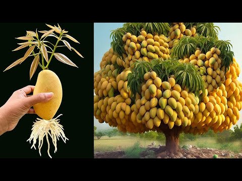 Ebimera Naddala Byetulya Biweesa Ebirungo By Obutwa Okwetangira Abalabe Singa Olya Ekibala Kyobutwa