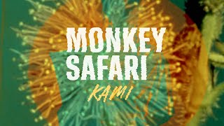 Monkey Safari - Light Of Day