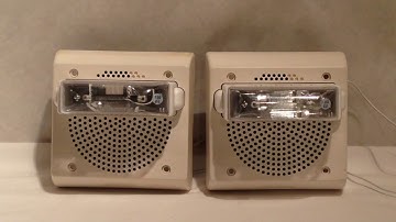 Wheelock "ALERT" (General Notification) Speaker Strobe Test