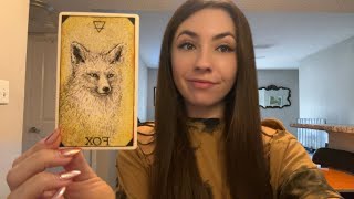 картинка: Они хотят быть ТОЛЬКО с ТОБОЙ 😍🙃🥰
