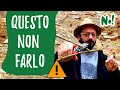 POTATURA: 5 errori da non fare