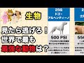 【動物最強】世界最強動物ランキングTOP25【咬合力(PSI)】|○○の19,000PSIがもはや物理法則を超えている件