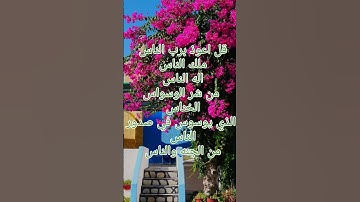 سورة الناس #egzonibrahimi #القرآن_الكريم
