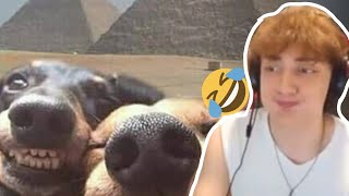 Gülmeme Challenge Gülmemek Imkansız