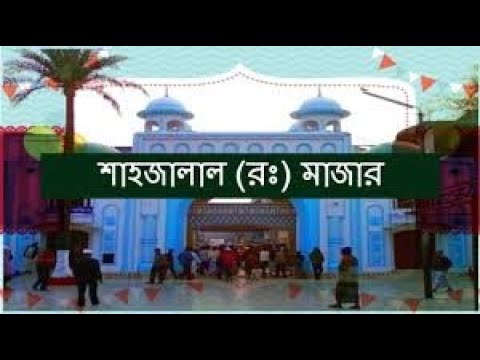 ভিডিও: দ্বিজাতিক জন্য একটি বাক্য কি?