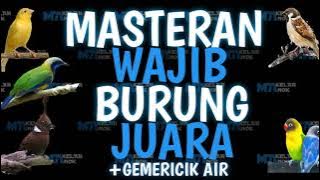 Masteran || wajib burung juara...suara kenari,gereja tarung,cililin,cucak cungko, lovebird