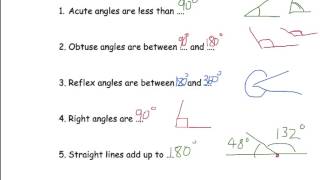 Celebrity Basic angle facts Net Worth