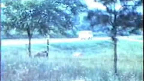 America's Goat Man - Charles McCartney