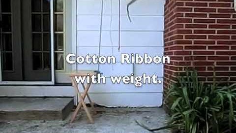 Slinky Drop with Ball Bearing