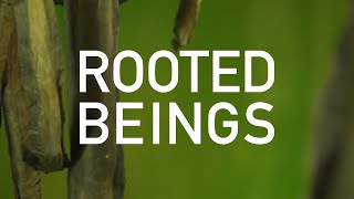 Rooted Beings | 24 March 2022 - 29 August 2022