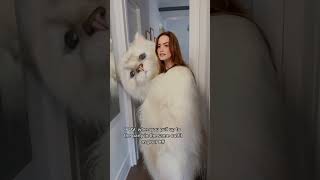 . I Thought I Told You I Was Wearing The Cat Outfit..