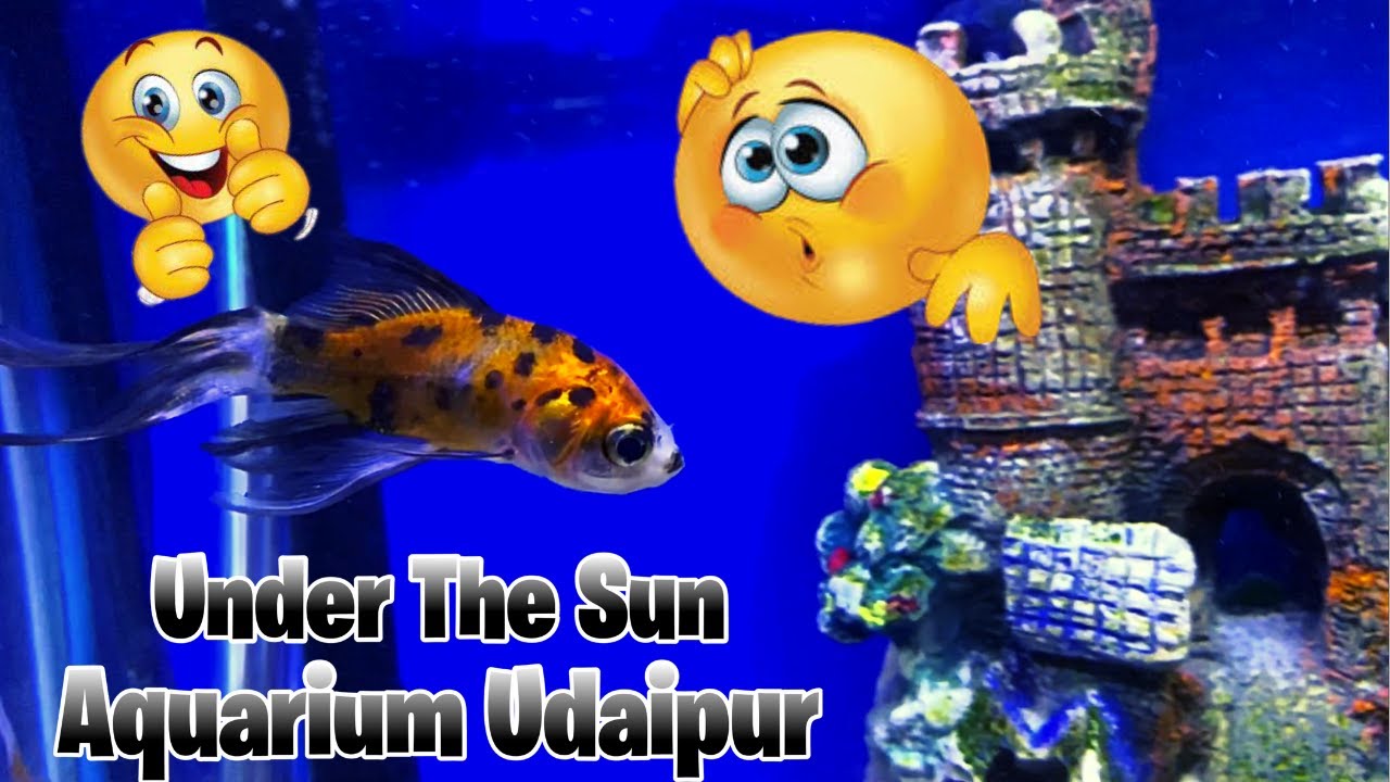Under The Sun Aquarium Udaipur | Saheliyon Ki Bari | The BagPacker Rohit 