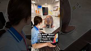 This Walrus Mocked the Zookeeper #shorts #funny #animals #viral #comedy #zoo #fyp #instantkarma