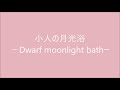 ZELDA (COPY) 小人の月光浴 -Dwarf moonlight bathー