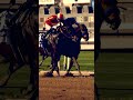 Santa Anita Park's $30,000 Pot O' Gold, March 14th & 15th #racing #horseracing #horsesports