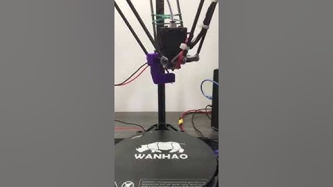 AnyCubic Delta auto LVL