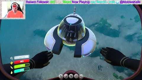 Seamoth Talking Dirty