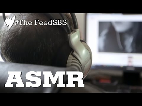 the feed contains test content ASMR: Head Tingles From Sounds I The Feed