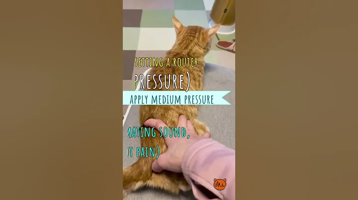 Got a Cat in Heat? Reset it Like a Router!