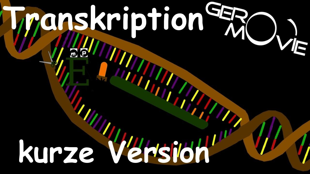 Transkription Biologie GeroMovie (kurze Version) - YouTube