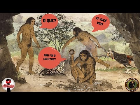 Vídeo: Qual é a unidade social básica dos primatas?