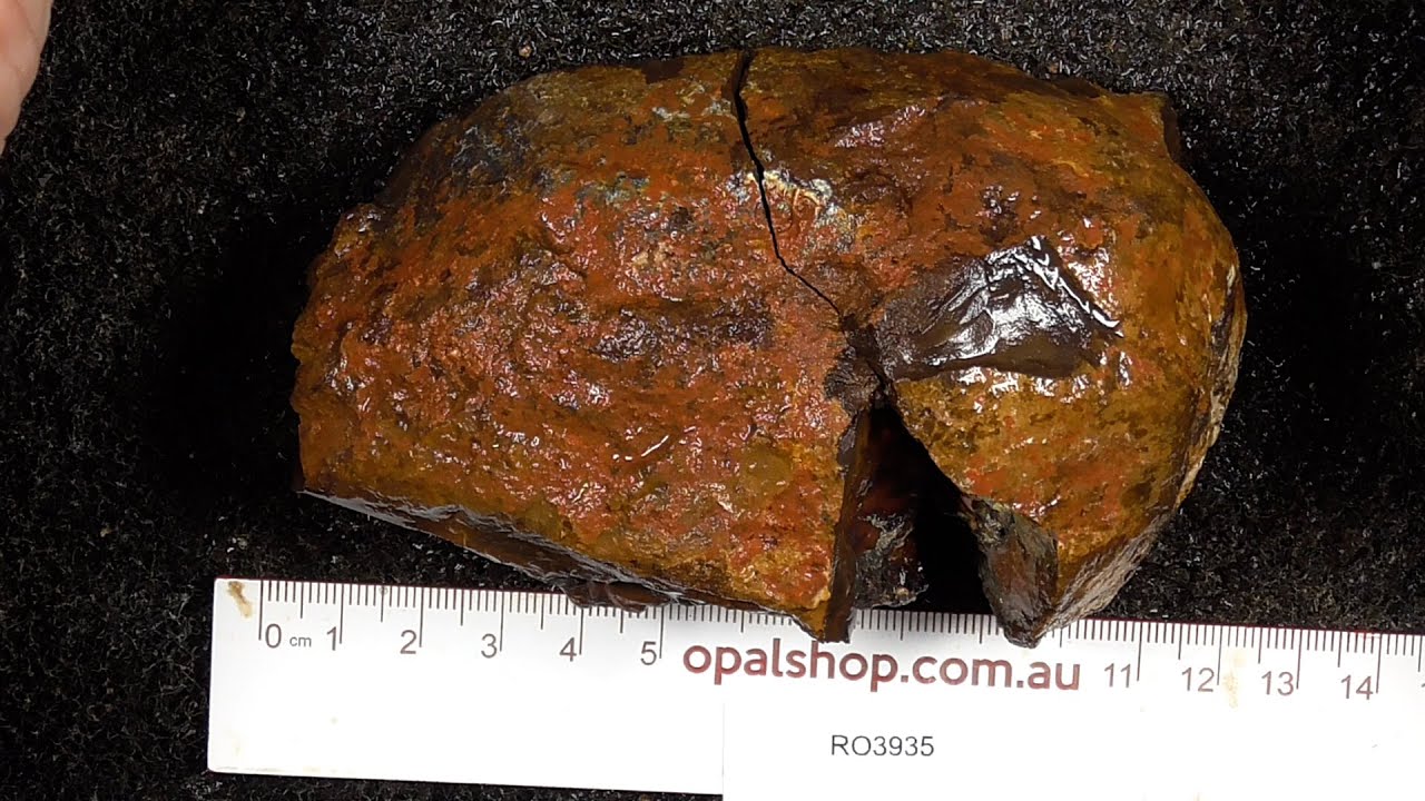 Ro3935 - Koroit nut opal material from Queensland Australia