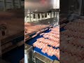 mesin slicer 4roll
