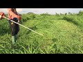 Grass cutting machine for cows feed