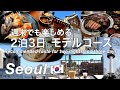 【韓国】ソウル旅行 グルメも観光も楽しめる2泊3日モデルコース (195)