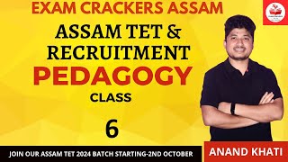 ASSAM TET & RECRUITMENT | HS & HSS TET MCQ DISCUSSION | PEDAGOGY | CLASS - 6 | By ANAND KHATI SIR screenshot 5