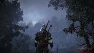 The Witcher 2: Assassins of Kings - Клип The Witcher 2: Assassins of Kings - Клип