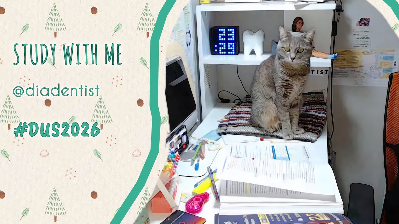 Benimle 4 saat #dus çalış! Study with me live 4 hours #studywithme #pomodoro #tus #kpss #yks #lgs