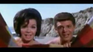 Sleeves Ron & Fez - Rock-A-Hula-Luau