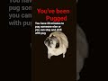 #pug #theothersideofmakebelieve #aicover #edits