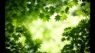 Already One Year (Instrumental) - Brown Eyes