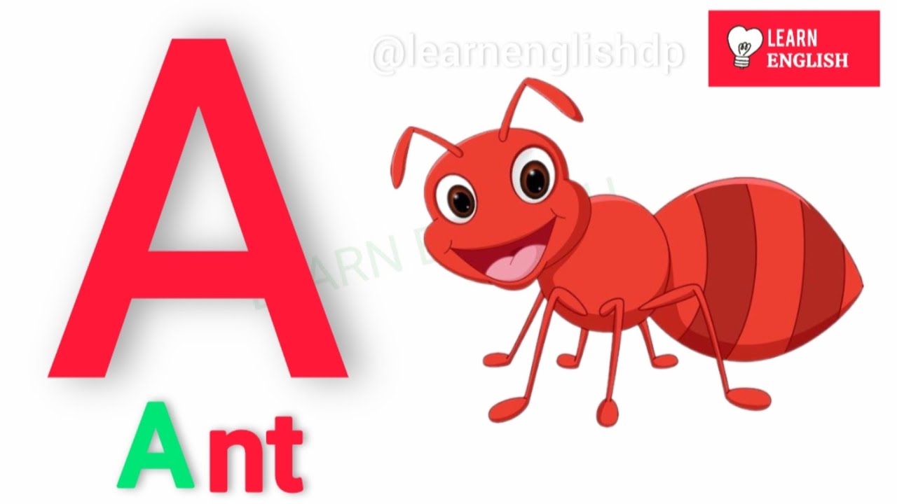 English alphabet | Learn Alphabet A to Z | ABC Preschool Book Learning ...