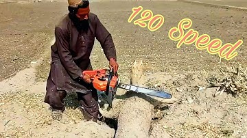 Dangerous Huge tree felling with chainsaw machines , Fastest tree cutting down skills Y studio