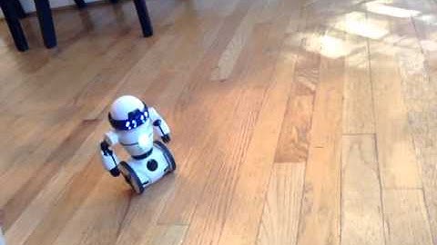 Mip, self balancing robot