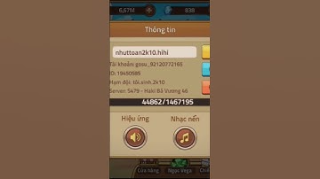 sau 1 tháng chơi huyền thoại hải tặc