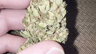 Ontario Medicinal Outdoor Grow - Cured and Ready To Go!