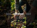 The Quiet Fortune Behind a Coastal Garden