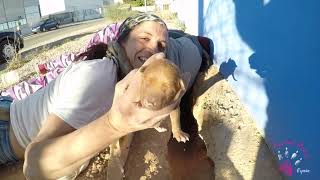 Rescate de Mia y sus bebés