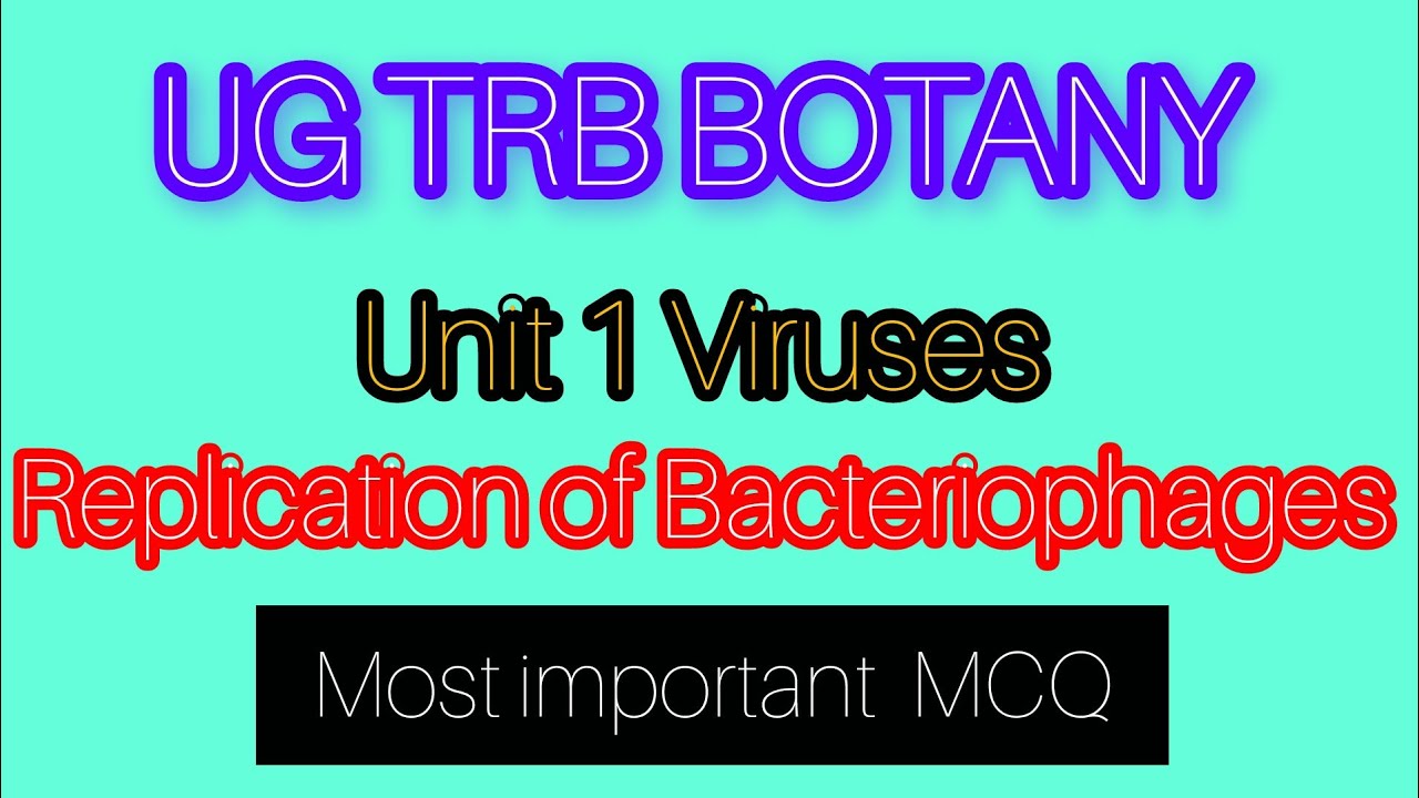 UG TRB BOTANY ELIGIBILITY TEST/ Unit 1# VIRUSES /Replication of Bacteriophages/INFINITIVE EDUCATION 